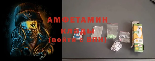 СК Алексин