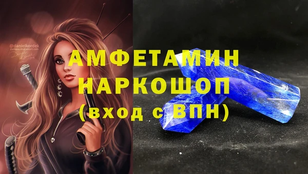 СК Алексин