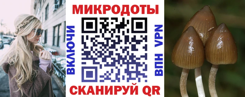 купить наркоту  Коломна  Псилоцибиновые грибы MAGIC MUSHROOMS 
